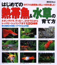 はじめての熱帯魚＆水草の育て方