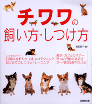 チワワの飼い方・しつけ方