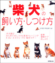柴犬の飼い方・しつけ方